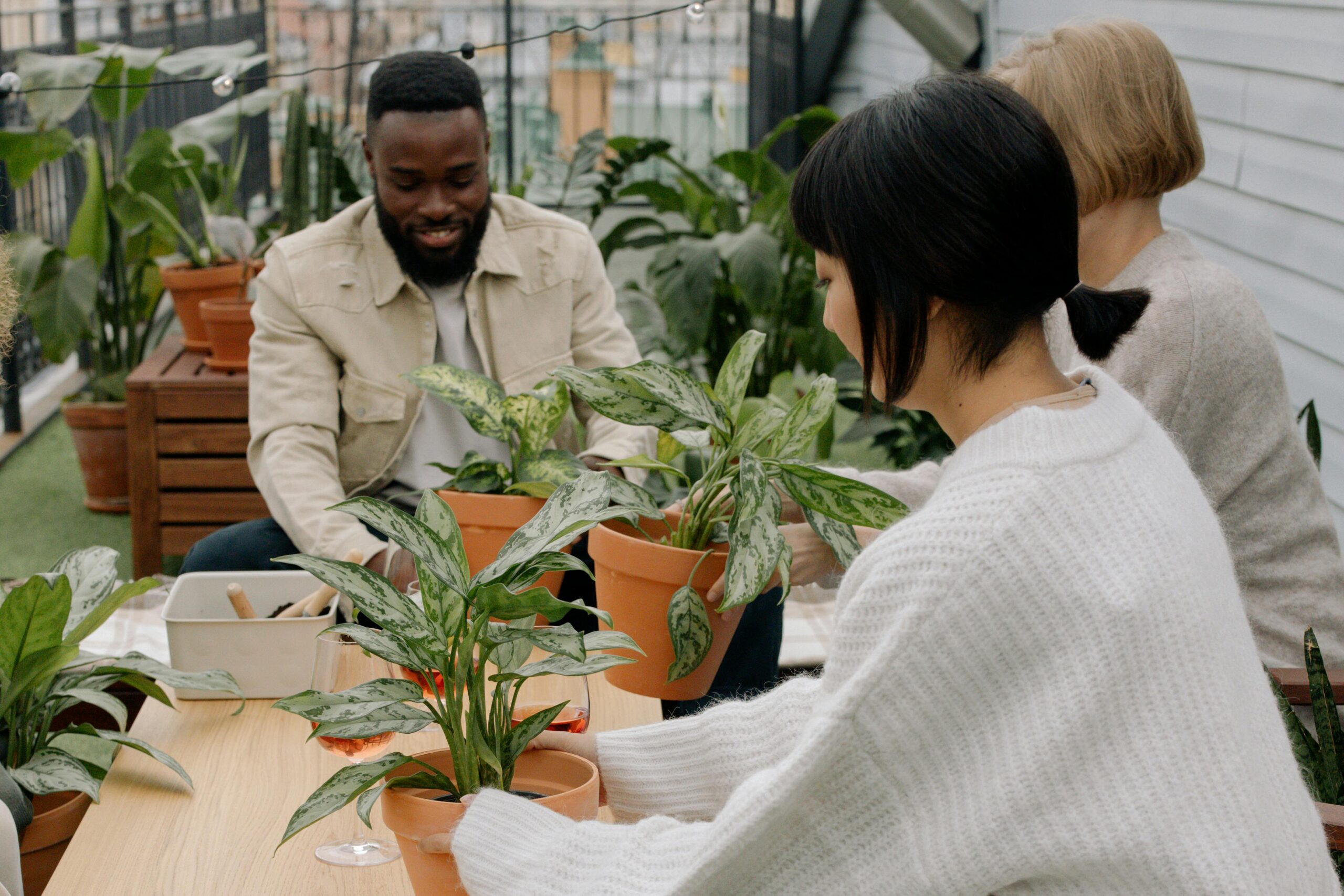 Three people tending to plants